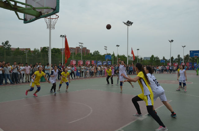 DSC_6865.JPG